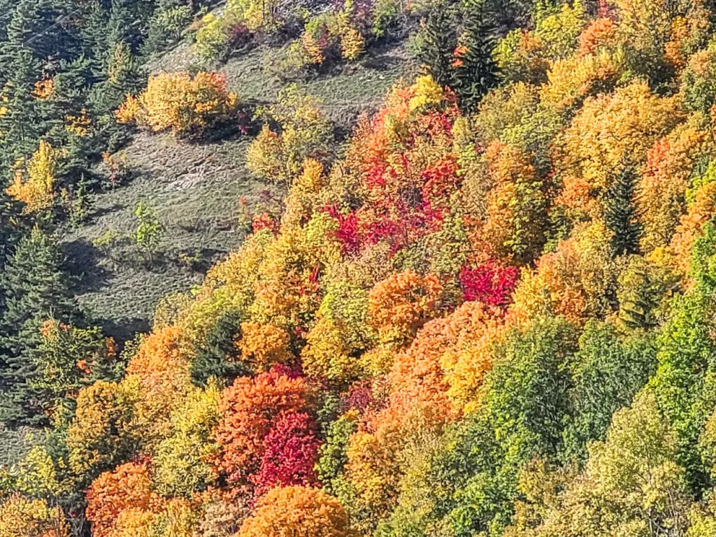 Alpes D Huez Automne Pphotographie Evasion